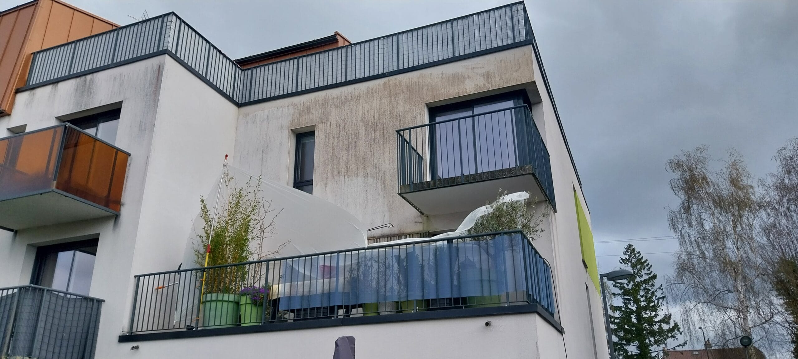 Before image